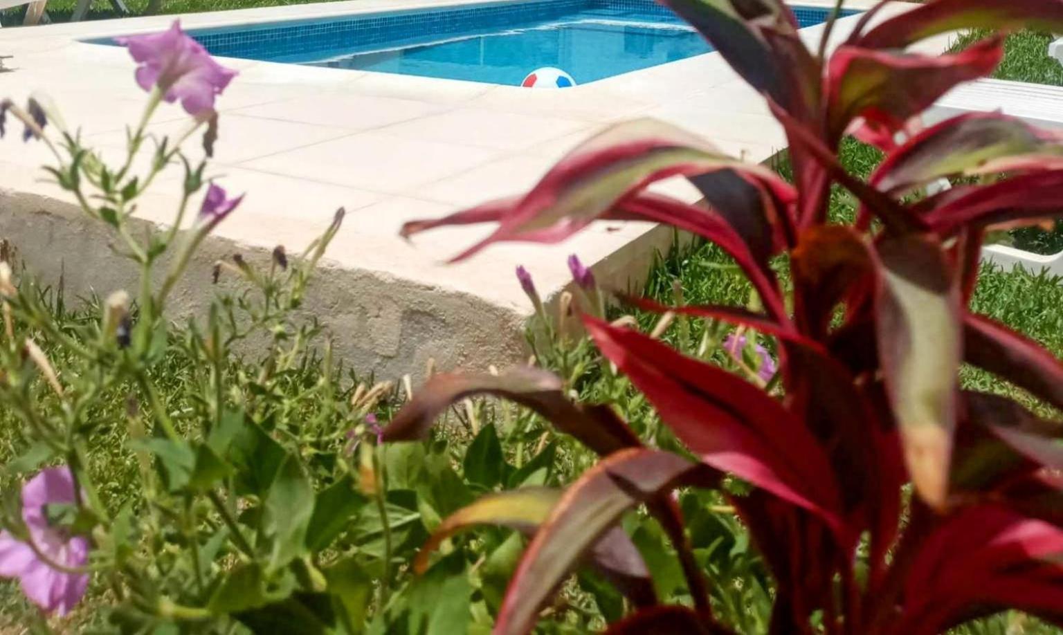 Mezraya A 500 M De La - Djerba Mezraia